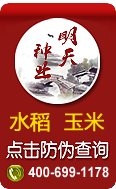 防偽查詢(xún)